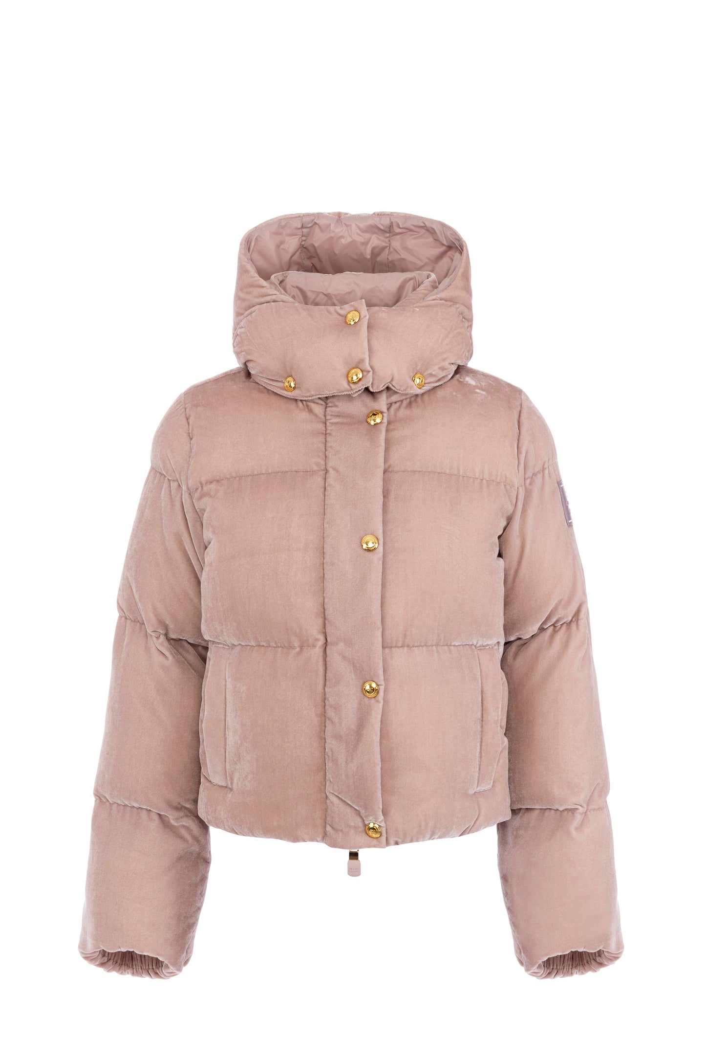 Velvet down jacket with hood